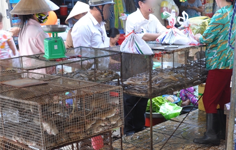 Rat market in Dong Thap Province, Viet Nam CREDIT: ©WCS Viet Nam